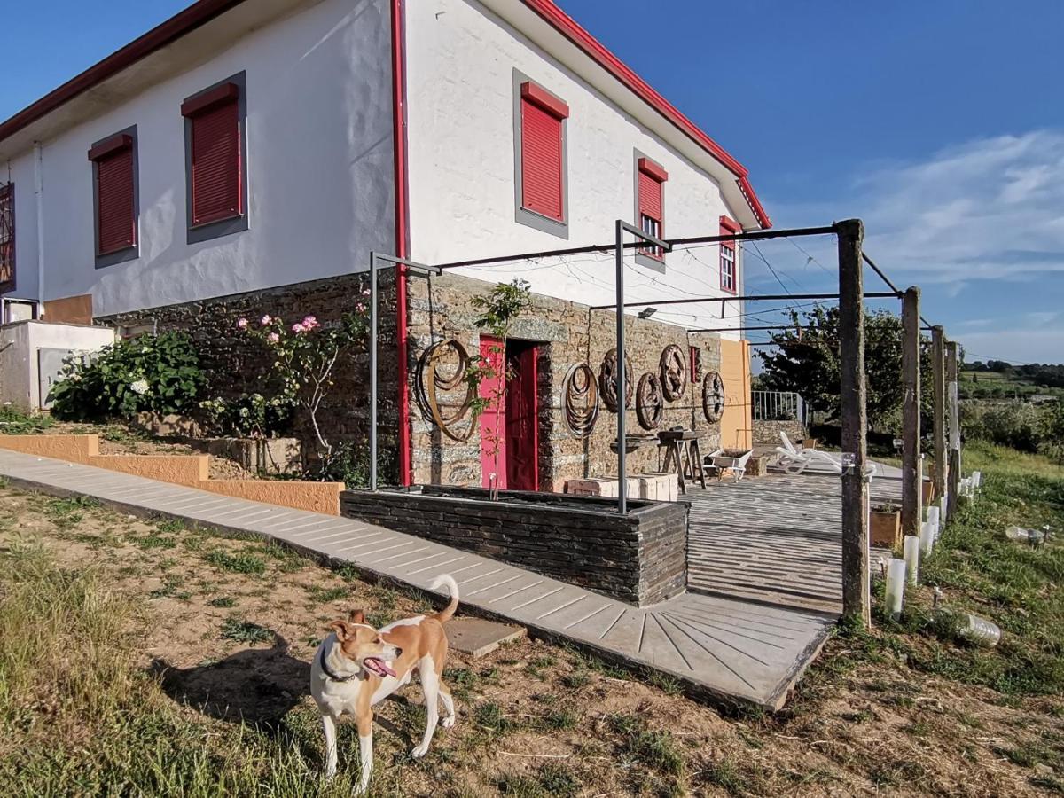Casa Da Vinha Grande Hotel Poiares Eksteriør billede